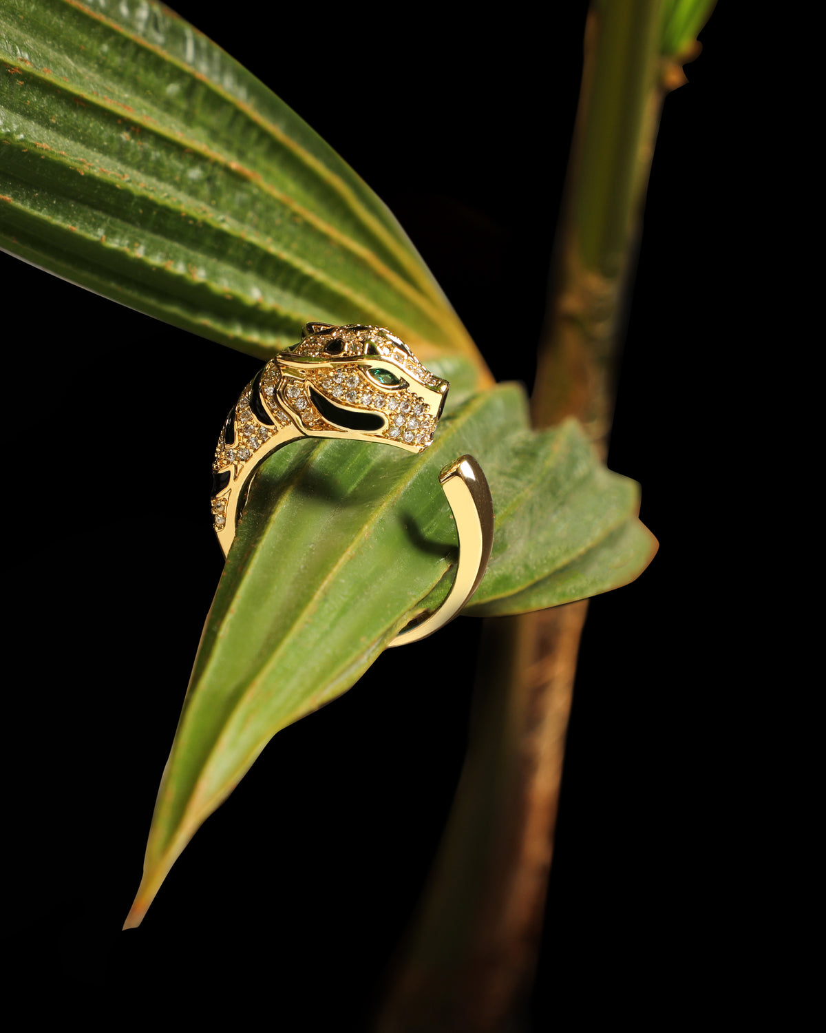 Panther Black-Adjustable